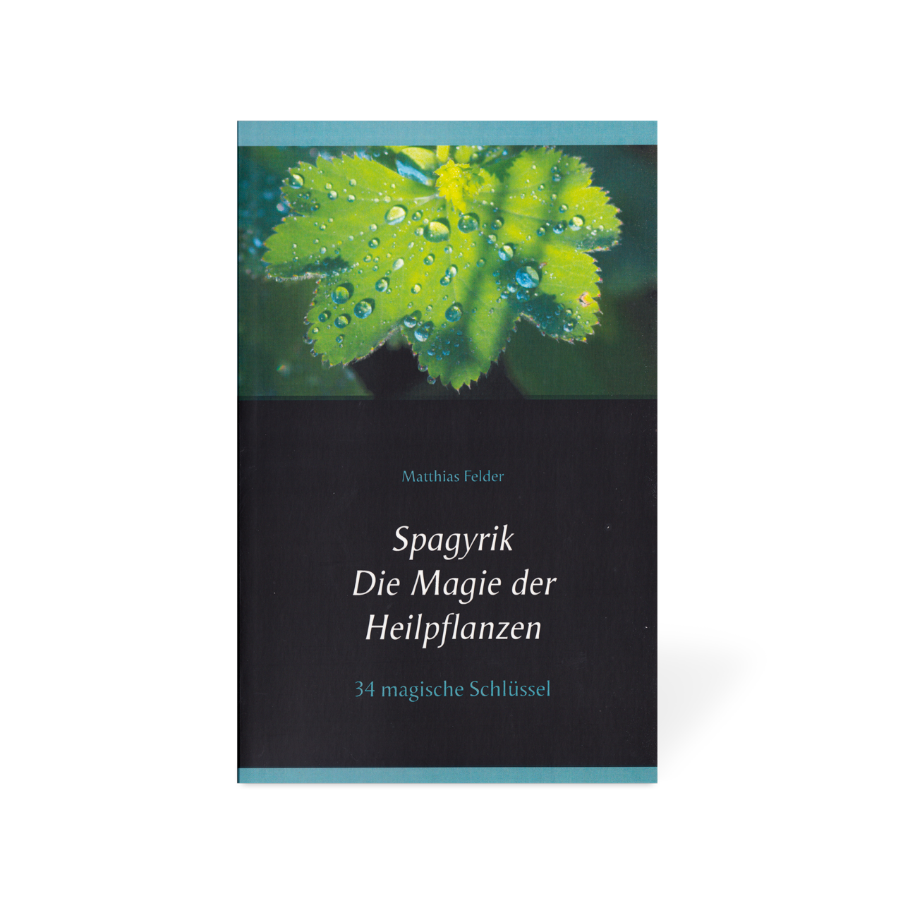 epub Chaucer in Early English Dictionaries: The Old Word Tradition in English Lexicography
